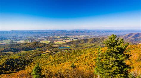 where is verona|where is verona virginia.